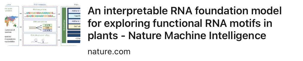 An interpretable RNA foundation model for exploring functional RNA motifs in plants